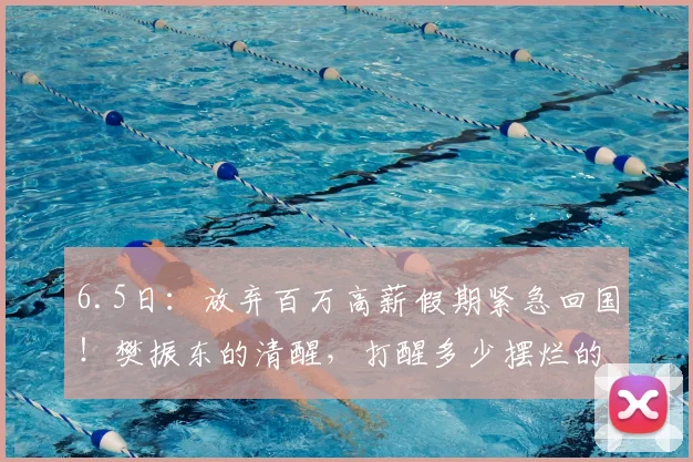 6.5日:放弃百万高薪假期紧急回国!樊振东的清醒,打醒多少摆烂的运动员_训练_欧洲_个人