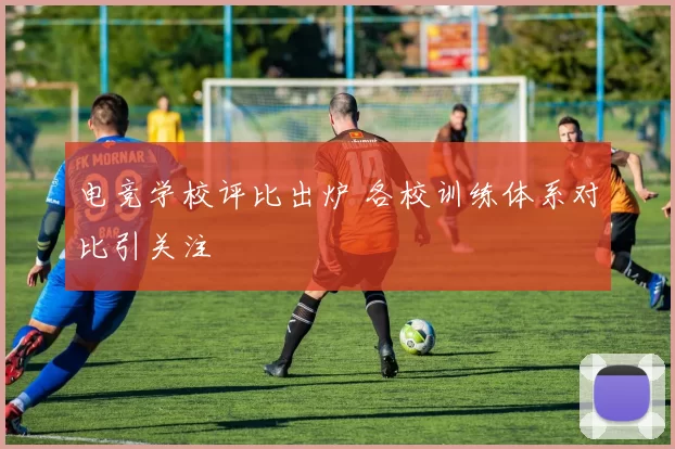 电竞学校评比出炉 各校训练体系对比引关注